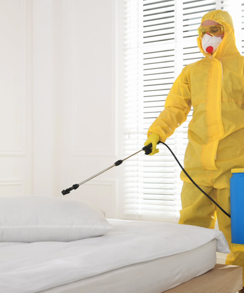 Professional Pest Control Team in Marino